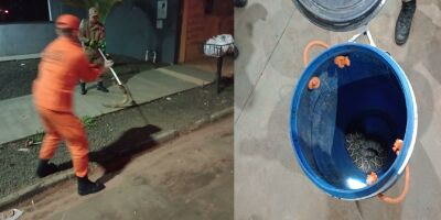 Imagem da notícia Moradora encontra cascavel na lixeira de casa em Chapadão do Sul